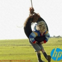 HP promociona estar fabricando “cartuchos verdes”