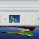 Epson C11CC08322